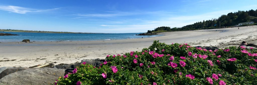 34407916_10156314047580692_7235775323906768896_o