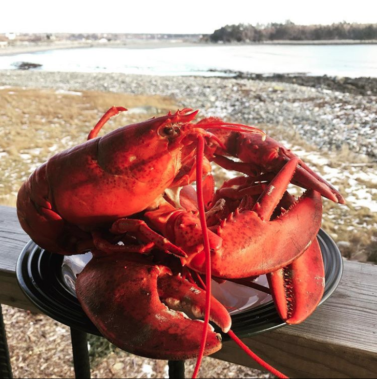 screen shot 2019-01-20 at 3.15.53 pm