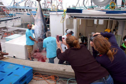 Screen Shot 2019-02-01 at 7.27.42 PM