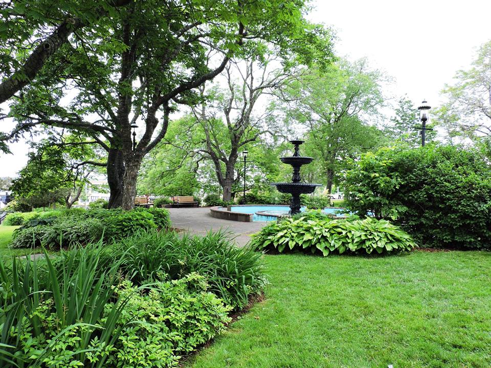 19429769_1894049737275625_965531764294259277_n