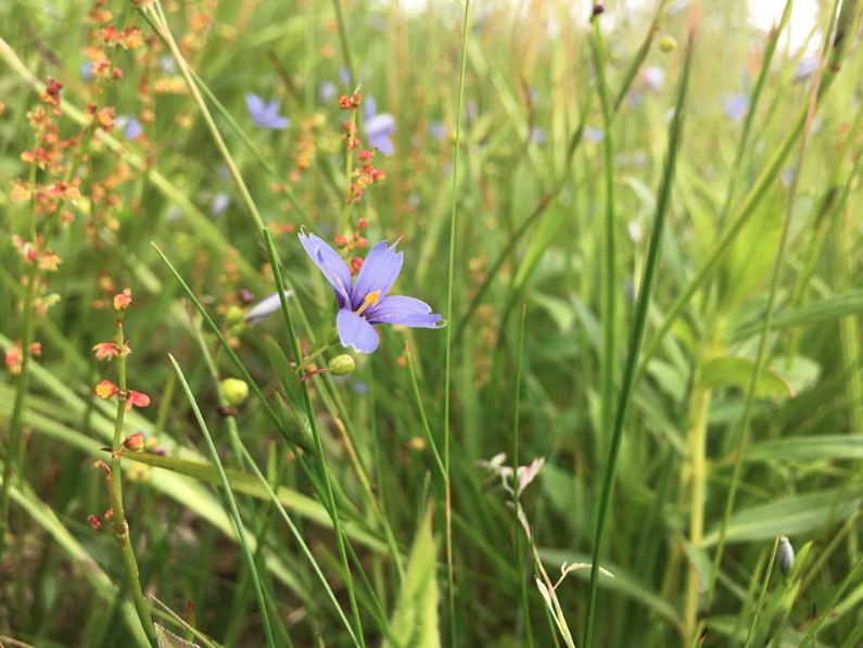 Screen Shot 2019-03-09 at 3.35.31 PM