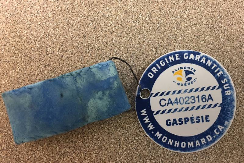 YV-14022018-lobsterbands2_large