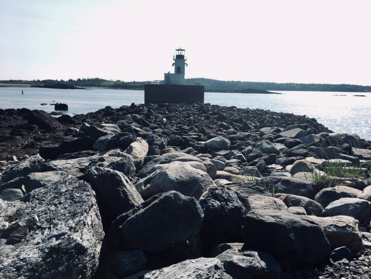 Screen Shot 2019-08-21 at 9.50.49 PM