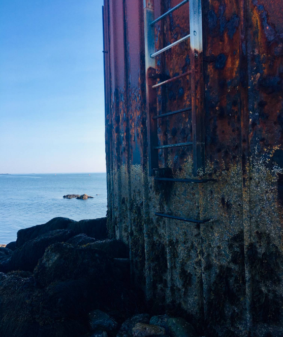 Screen Shot 2019-08-21 at 9.53.35 PM