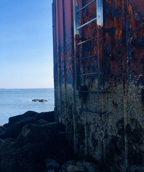 Screen Shot 2019-08-21 at 9.53.35 PM