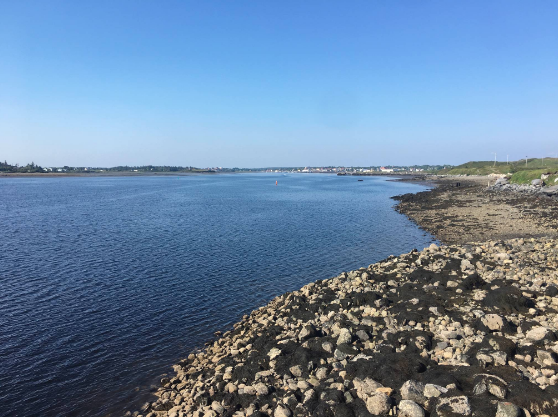 Screen Shot 2019-08-21 at 9.54.47 PM