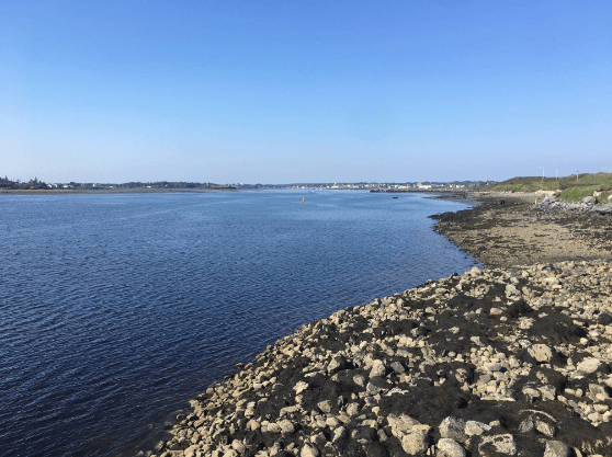 Screen Shot 2019-08-21 at 9.54.47 PM