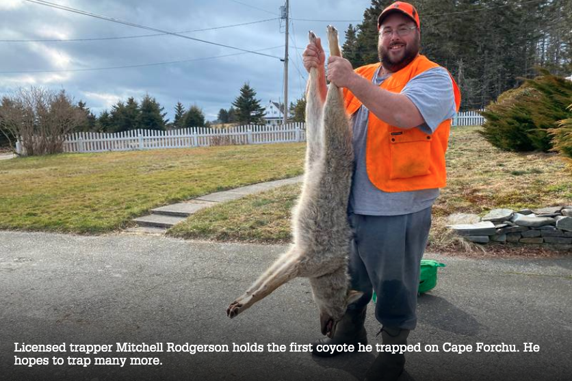 Screen Shot 2020-03-31 at 8.04.50 AM