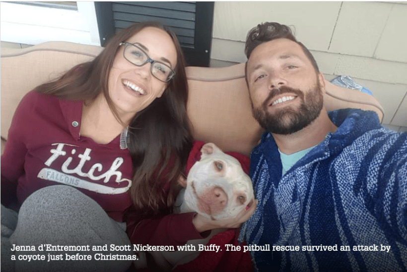 Screen Shot 2020-03-31 at 8.05.23 AM