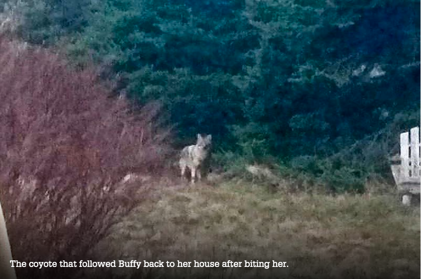 Screen Shot 2020-03-31 at 8.05.49 AM