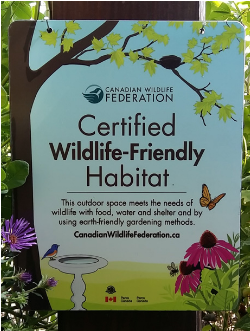 79893176_755210364997378_2045681756169830400_n