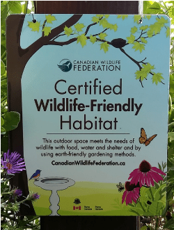 79893176_755210364997378_2045681756169830400_n